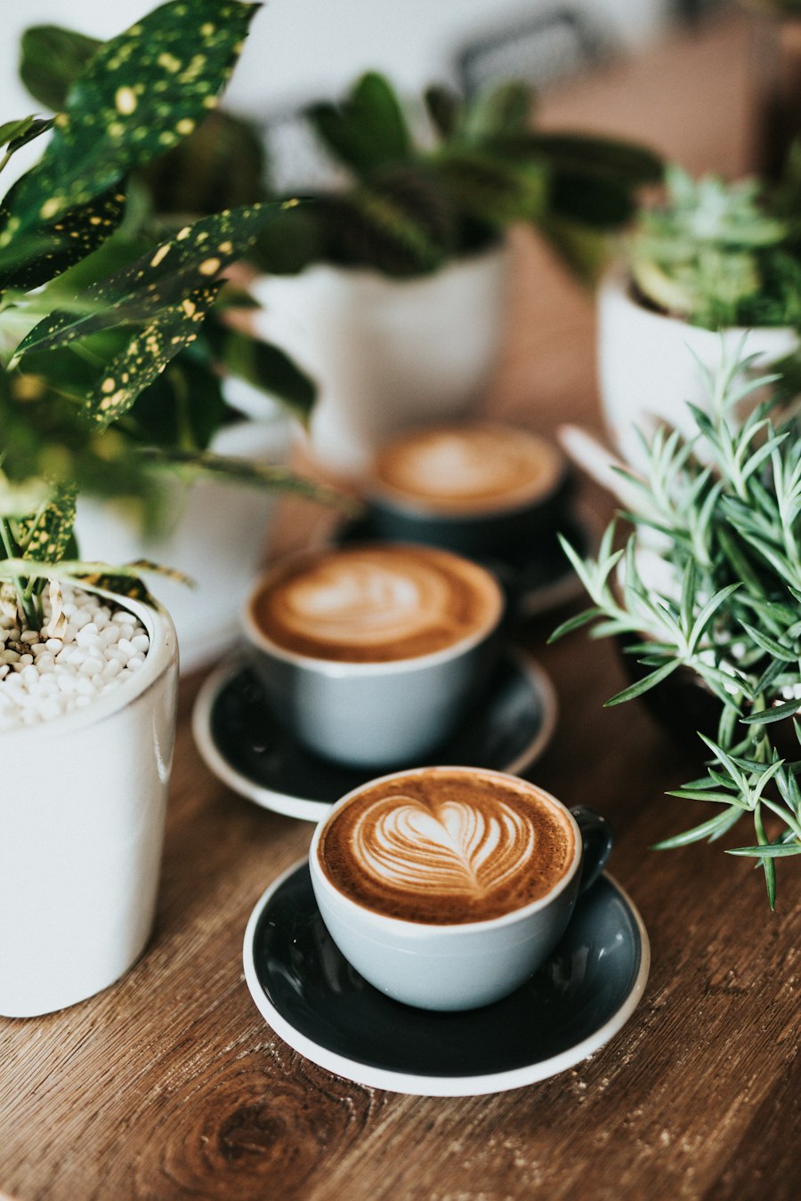 Café de Especialidad Servido en Panamá
